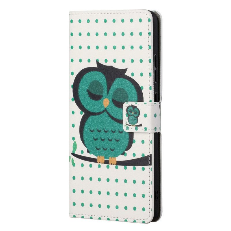 Flip Case Für OnePlus Nord CE 2 5G Schlafender Vogel