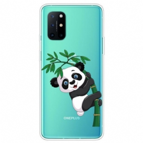 Hülle Für OnePlus 8T Nahtloser Panda Auf Bambus