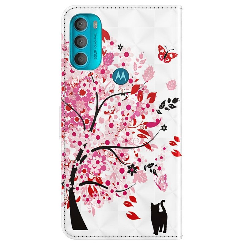 Flip Case Für Moto G71 5G Rosa Baum Und Schwarze Katze